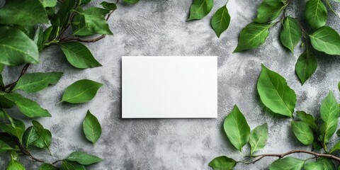 Poster - Arrangement of leaves and white watercolor paper sheets on a gray concrete surface. Tree branches with leaves and blank cards. Nature mockup, ecology poster. Top view, flat lay, close-up, copy space.