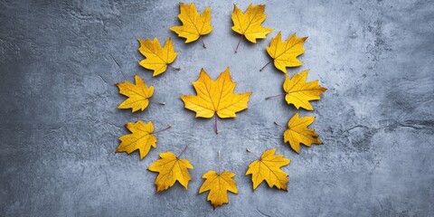 Poster - Autumn theme. Yellow maple leaves positioned in the center of an image on a gray concrete backdrop. Flat lay, top view, copyspace.