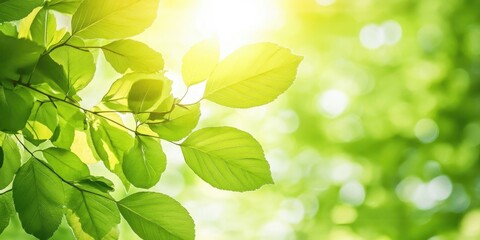 Sticker - Natural green backdrop, close-up of green leaves with a blurred background and bright sunlight. Summer view of leaves against a lime-toned background.