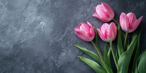 Aufkleber - Background for Valentine's Day or a wedding. Pink tulips against a gray stone background. Flat lay. Top view with copy space.