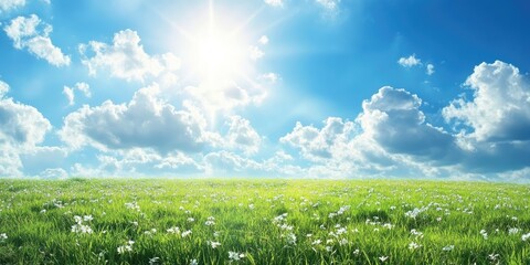 Poster - Vibrant green spring field under a blue cloudy sky, copyspace.