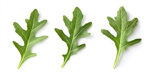 Aufkleber - Arugula leaves isolated on a white background. Focused selectively. Food.