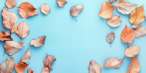 Poster - Autumn minimal arrangement. Dried leaves against a pastel blue background. Fall concept. Flat lay, top view, copyspace.
