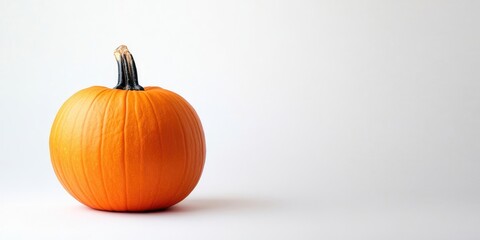 Poster - pumpkin isolated on a white background with copyspace, Halloween arrangement