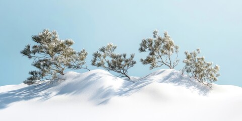 Aufkleber - A cluster of pine trees and a few branches on a white snow and blue backdrop.