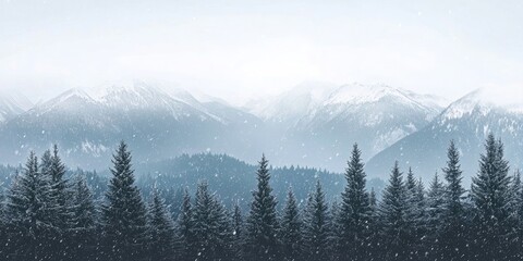 Poster - View from the summit of the mountains covered in snow. Winter scenery featuring a fir forest following a snowfall.