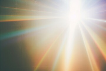 Canvas Print - light backgrounds sunlight outdoors.