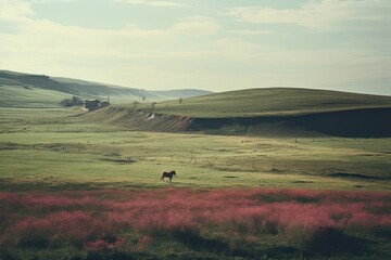 Canvas Print - Meadow with horse farm in the background landscape grassland outdoors.