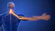 © jitendra jadhav - Cervical Spine Nerve Compression Causing Radiculopathy