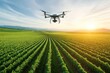 © feeling lucky - Aerial view of a drone surveying a lush green vineyard during sunset, showcasing modern agriculture technology in action.