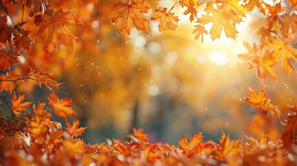 Wall Mural - Sunny autumn day with beautiful orange fall foliage in the park. Ground covered in dry fallen leaves lit by bright sunlight. Autumn landscape with maple trees and sun. Natural background