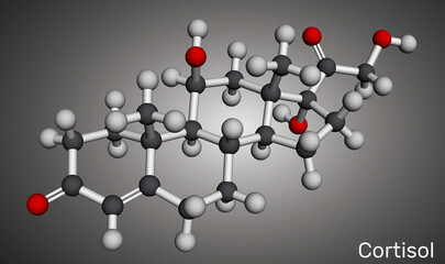 Sticker - Cortisol, hydrocortisone steroid molecule. Stress hormone involved in metabolism and immune response. Molecular model. 3D rendering. Illustration