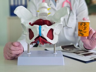 Medical professional demonstrates pelvic anatomy model alongside prescription medication