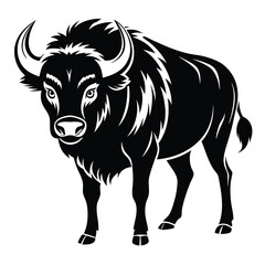 Buffalo Sketch black Drawing vector on white background