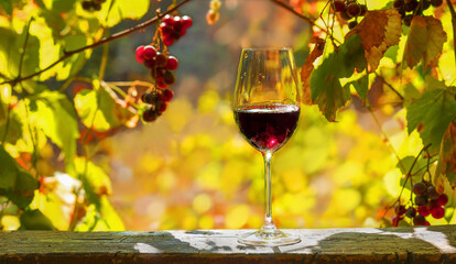  Glass of red wine with autumn grape leaves on autumn background of yellow foliage