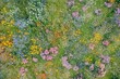 © ChaoticMind - A mesmerizing aerial shot of a meadow filled with diverse wildflowers in an array of colors, showcasing nature's artistry and capturing a sense of joy and vitality.