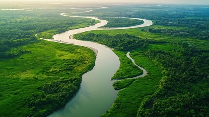 aerial view of a lush river delta, showcasing winding waterways and vibrant green vegetation, encapsulating the beauty of nature and ecological diversity