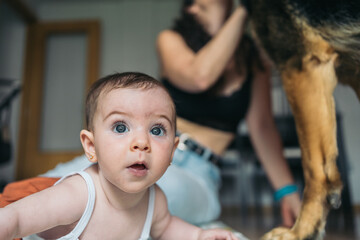 Baby girl crawling looking up with mother and dog in the background. Curious baby girl is crawling on the floor with her mother and their dog out of focus in the background