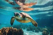 © Rawpixel.com - Underwater swimming outdoors reptile.