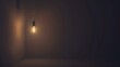 © Steve - Dark empty room with single flickering light bulb casting long shadows, emphasizing absence of power and eerie atmosphere, minimalist setting with focus on light bulb's glow.