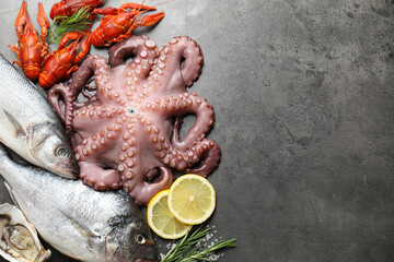 Wall Mural - Different sea food on grey table, flat lay. Space for text