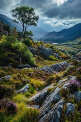 Poster - A single tree standing alone on a rocky hillside, ideal for use in landscape or nature-inspired designs