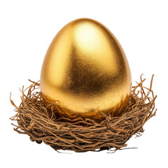 A golden egg rests gracefully in a woven nest of twigs