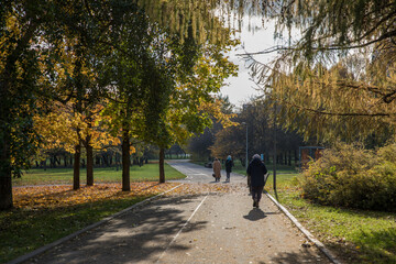 Wall Mural - Walk in the park on a bright sunny autumn day