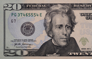 Wall Mural - Closeup of front side of 20 dollar banknote