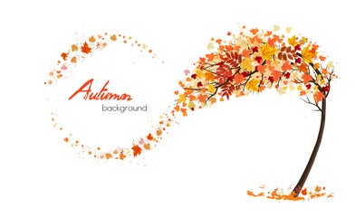 Poster - Autumn abstract background with tree and flying colorful leaves. Vector.