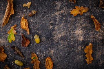 Wall Mural - Autumn background with dry leaves.