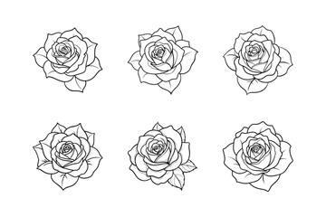 Wall Mural - rose sets icon flower line icon vector on white background.