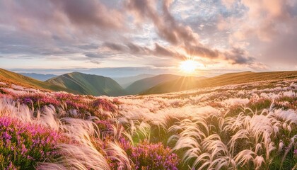 Beautiful panoramic natural landscape with a beautiful bright textured sunset over a field 