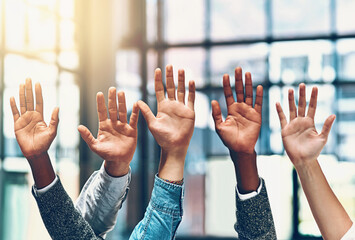 Wall Mural - People, diversity and palm group hands in a office meeting with community and at work. Collaboration, teamwork and solidarity of staff with arms and hand raised in a workplace with company team