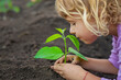 © yanadjan - Child holding soil and plant in hands. Selective focus.