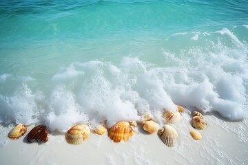 Wall Mural - Crystal-clear turquoise waves gently washing over white sand with sun-drenched shells scattered across the shore