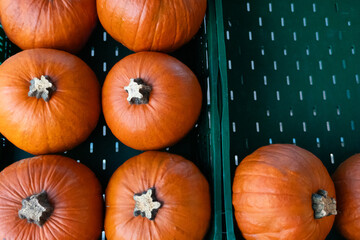 Bright orange pumpkins neatly arranged in a green plastic container at a supermarket, ready for the upcoming Halloween season. Perfect for fall decorations or making festive pumpkin dishes.