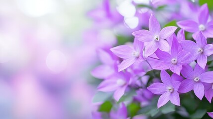 Poster - A vibrant cluster of purple blooms surrounded by lush green foliage, perfect for a fresh spring look.