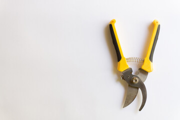 Pruning scissors. Garden trimmer. Scissors for working in the garden with various layouts isolated on a white background.