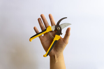 Pruning scissors. Garden trimmer. Scissors for working in the garden with various layouts isolated on a white background.