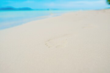 Wall Mural - Empty beach, footprints on sand