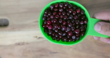 Wall Mural - A green measuring cup is filled with huckleberries. The berries are in a bowl and the cup is being held by a person