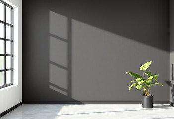 Wall Mural - black blank wall interior with copy space and green plant. 3D illustration