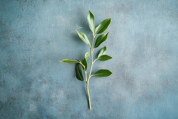 Wall Mural - A Single Green Branch with Leaves on a Textured Blue Surface