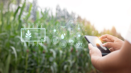 a person is holding a cell phone and looking at a screen that shows a plant