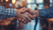 © SS Digital - Young businessman handshaking with client in office