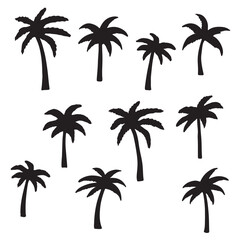 Wall Mural - set of palm trees, Isolated palm on the white background. Palm silhouettes.	

