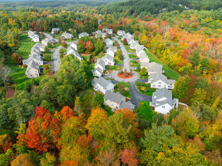 Wall Mural - aerial drone view of neighborhood street with single family homes