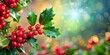 © kansak01 - Festive Christmas Holly Background with Copy Space for Holiday Greetings, Decorations, and Seasonal Celebrations, Perfect for Cards, Banners, and Social Media Posts