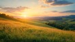 © CLOVER BACKGROUND - Scenic Sunset Over Green Hills and Fields